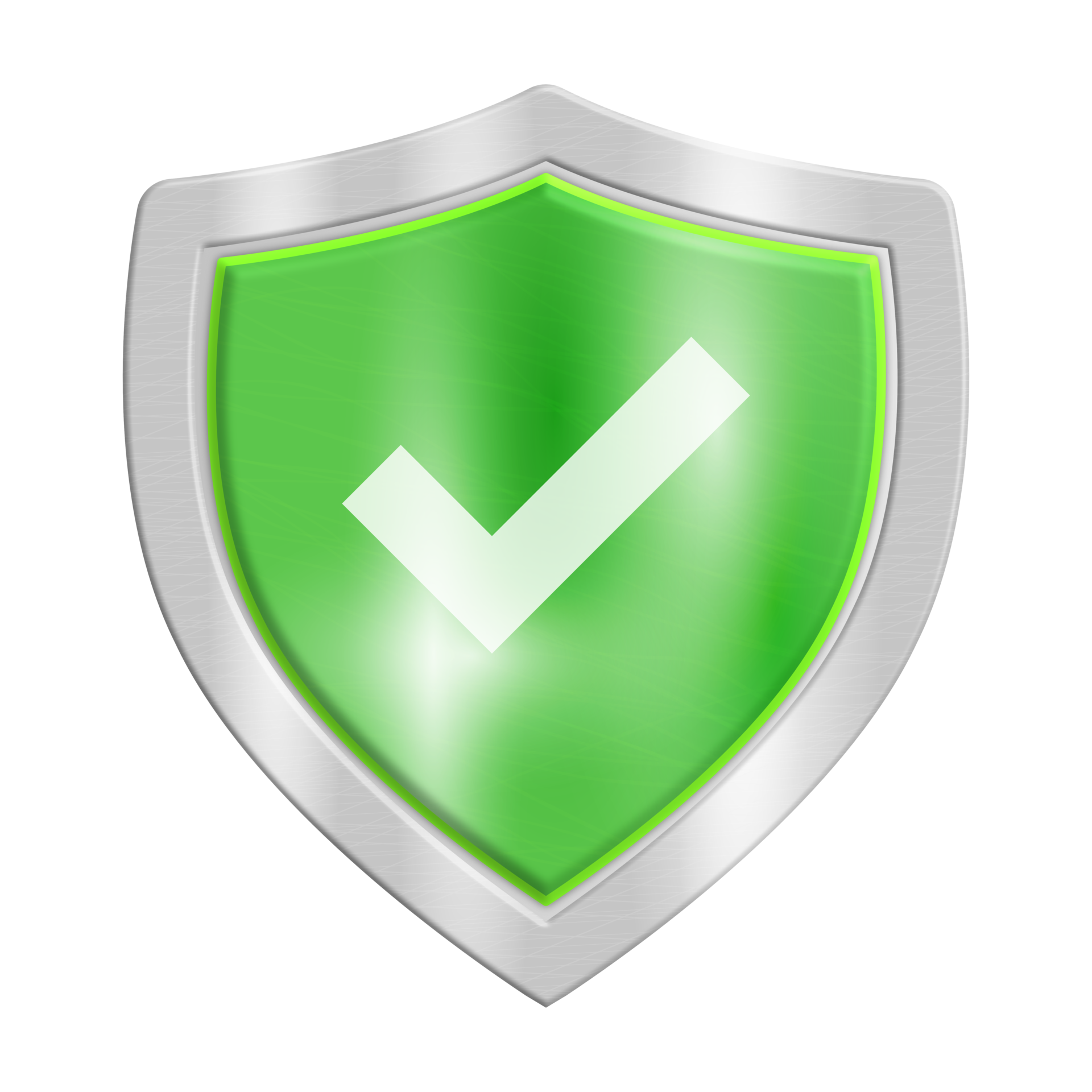 https://lappydoctor.in/assets/front/img/user/feature/1728128149check-mark-shield-icon-png.png